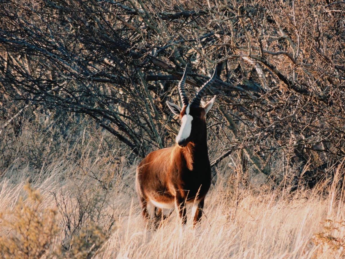Kudu Haven Holiday home *