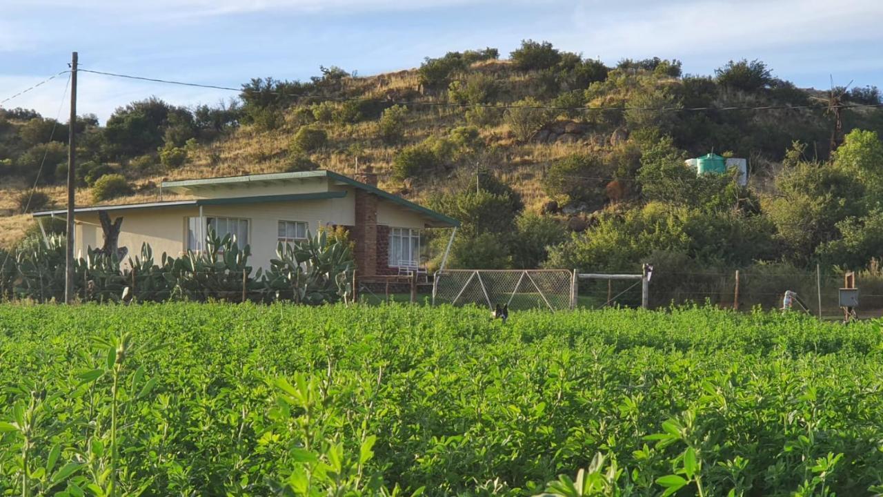 Kudu Haven